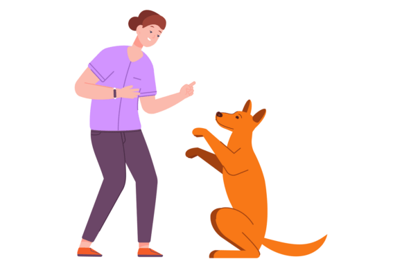 Dog Behavior Control Playful Animal Col Review