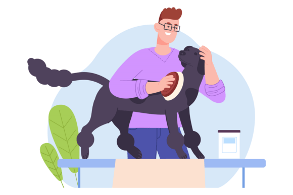 Dog Hair Brushing Professional Groomer