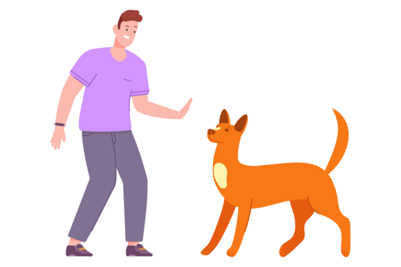 Man Train Dog with Hand Signal Color Scene Review